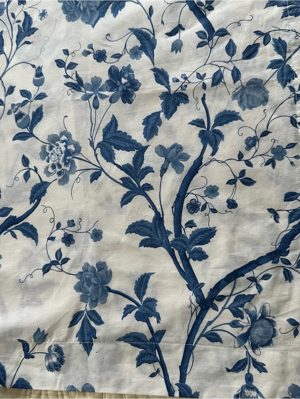 Laura Ashley Elise King Shams Pair